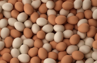 gallery/farm-fresh-chicken-table-eggs-brown-shell
